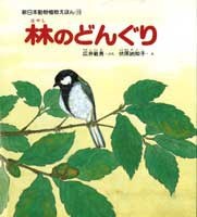 『林のどんぐり』