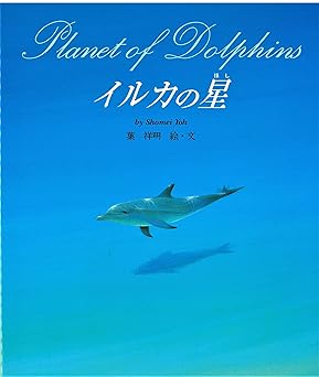 『イルカの星』